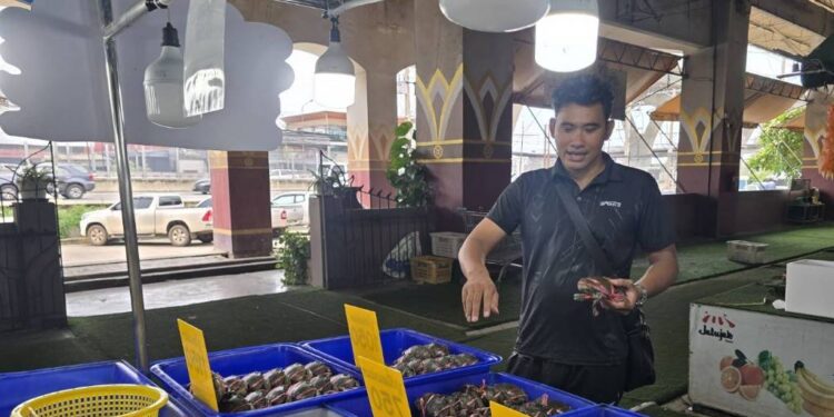 “เจ้าของตลาดมหาชัยเมืองใหม่สั่งด่วน! ‘สุรเดช’ ลุยตรวจปูไข่ล้นกระดอง – คนแห่ซื้อแน่นตลาด!”