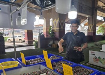 “เจ้าของตลาดมหาชัยเมืองใหม่สั่งด่วน! ‘สุรเดช’ ลุยตรวจปูไข่ล้นกระดอง – คนแห่ซื้อแน่นตลาด!”