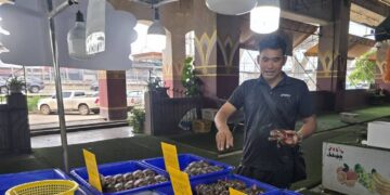 “เจ้าของตลาดมหาชัยเมืองใหม่สั่งด่วน! ‘สุรเดช’ ลุยตรวจปูไข่ล้นกระดอง – คนแห่ซื้อแน่นตลาด!”