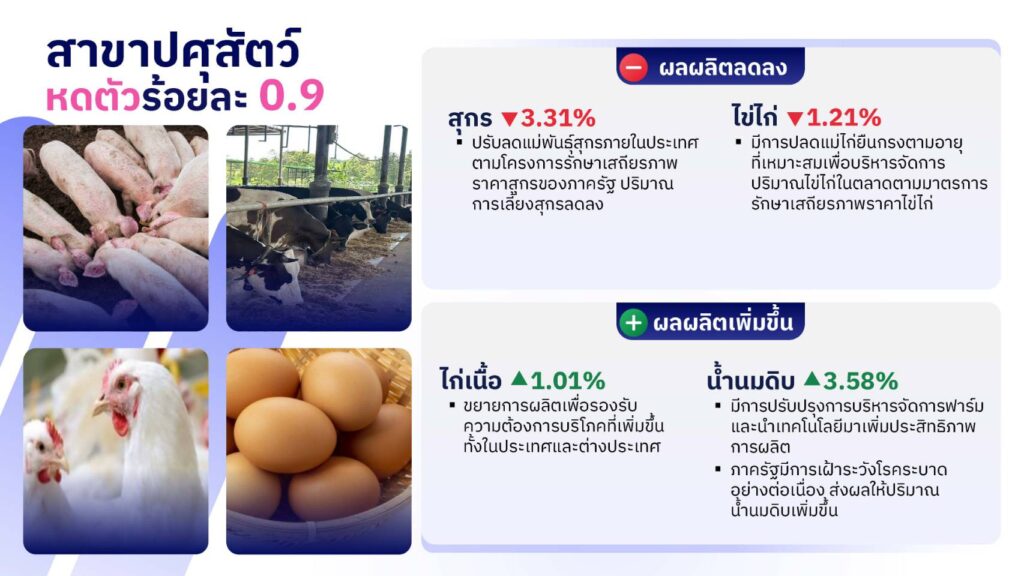 สศก. เคาะตัวเลข GDP เกษตรไตรมาส 2 น้ำดี-อากาศหนุน ดันผลผลิตพืชสำคัญเพิ่ม ส่งผล GDP เกษตรพุ่ง 5.5% 26