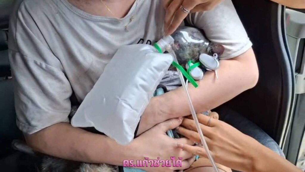 ตำรวจหญิง พฐ. ร้องดร.แก้ว ขอความเป็นธรรม แบตเตอรี่รถจยย.ไฟฟ้าระเบิด ทำไฟไหม้บ้านเสียหาย 7 หลัง แมวตาย 2 ตัว สูญกว่า 10 ล้าน บริษัทฯปัดรับผิดชอบ 26