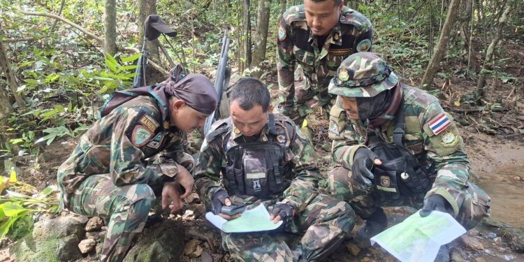“สุชาติ” สั่งเข้ม เพิ่มการลาดตระเวน ป้องกันการลักลอบล่าสัตว์ป่า หลังพบกะโหลกค่างจำนวนมากในผืนป่ามรดกโลก “แก่งกระจาน” 25 “สุชาติ” สั่งเข้ม เพิ่มการลาดตระเวน ป้องกันการลักลอบล่าสัตว์ป่า หลังพบกะโหลกค่างจำนวนมากในผืนป่ามรดกโลก “แก่งกระจาน”