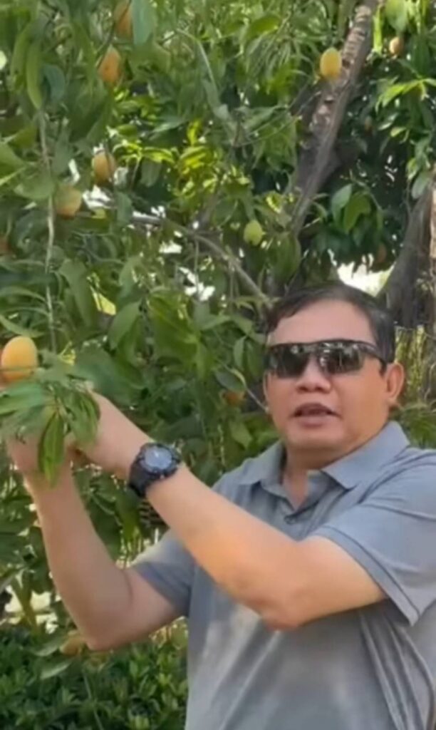 ขอเชิญร่วมงานมะปรางหวาน-มะยงชิด ครั้งที่ 21 จัดขึ้น ณ มหาวิทยาลัยนเรศวร 29