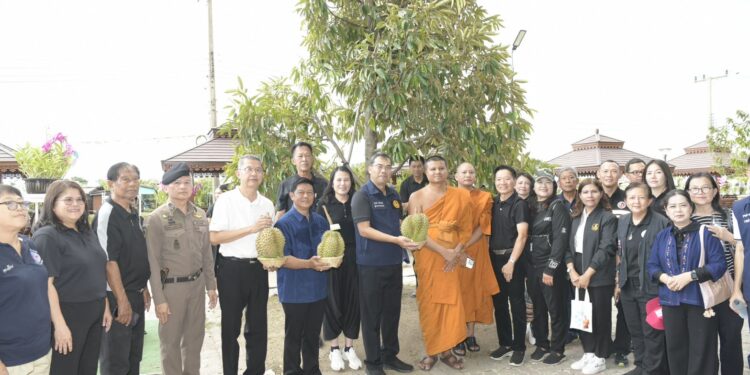 ผู้ว่าฯนนท์ผนึกวัดโตนด ช่วยผู้เดือดร้อน ปลูกทุเรียนก้านยาวสืบสานมรดกเมืองนนท์